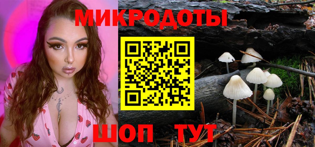 Псилоцибиновые грибы прущие грибы  Вход с VPN  Грозный  Галлюциногенные грибы мицелий 